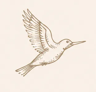 Иконка 5